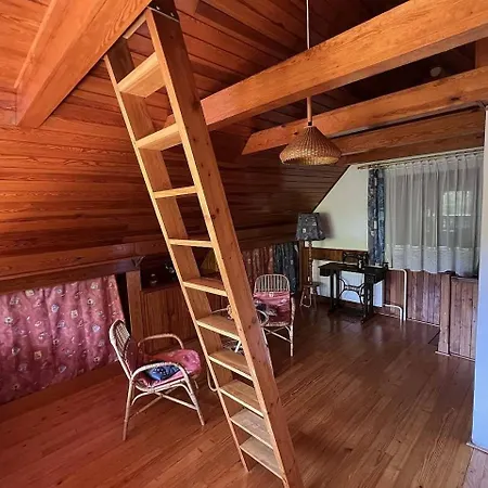Rybaření Ze Sauny
