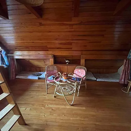 Rybaření Ze Sauny